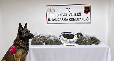 Bingöl'de jandarmadan bir haftada 25 olaya müdahale