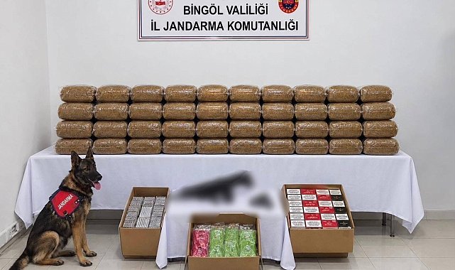 Bingöl'de kesinleşmiş hapis cezası bulunan 4 şüpheli yakalandı