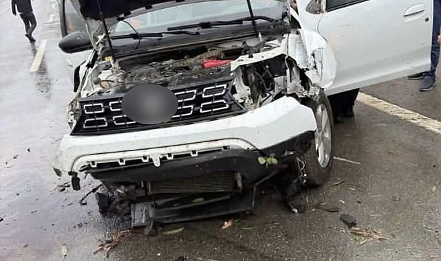 Bingöl'de otomobil ağaca çarptı: 2 yaralı