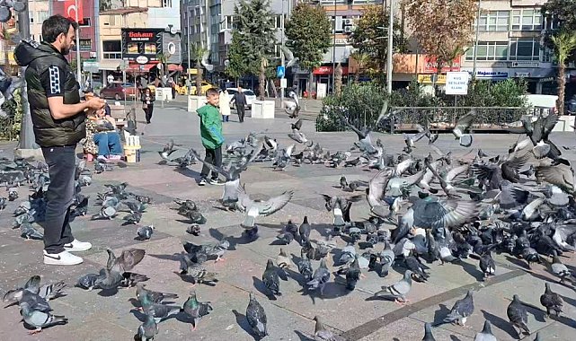 Bir yerde kış bir yerde yaz
