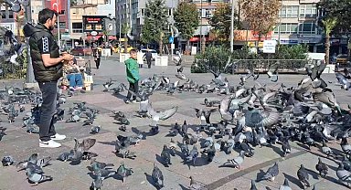 Bir yerde kış bir yerde yaz