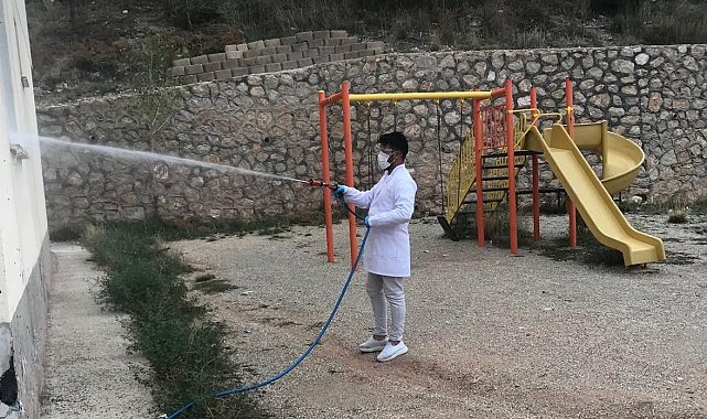 Böcek ve kemirgenlere karşı mücadele sürüyor