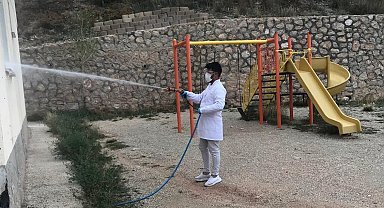 Böcek ve kemirgenlere karşı mücadele sürüyor