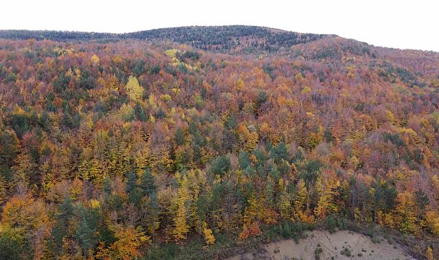Bolu-Mudurnu kara yolunda sonbahar cümbüşü havadan görüntülendi