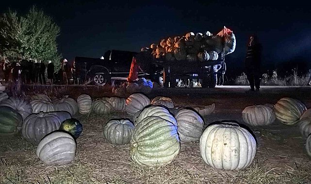Bolu'da kabak yüklü traktör pikapla çarpıştı: 4 yaralı