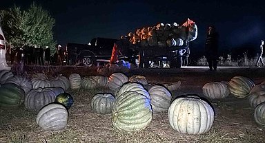 Bolu'da kabak yüklü traktör pikapla çarpıştı: 4 yaralı