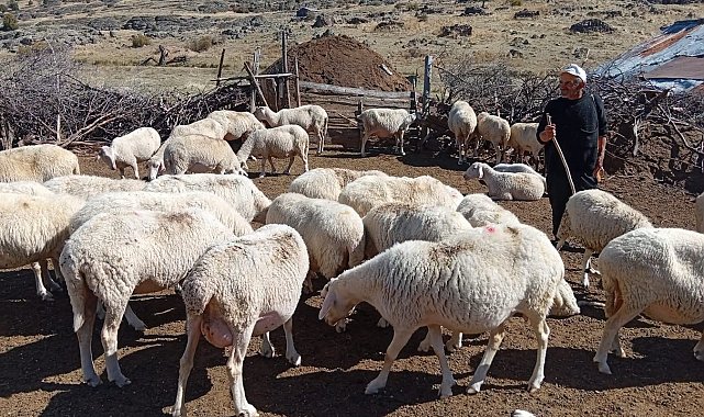 Bolu'da ORKÖY kredileri yüzleri güldürdü