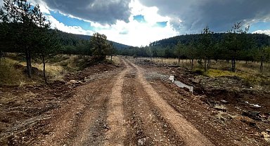 Bolu'da orman yangınlarına müdahaleyi kolaylaştıracak çalışma