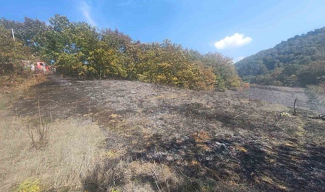 Bolu'da ot yangını büyümeden söndürüldü