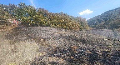 Bolu'da ot yangını büyümeden söndürüldü