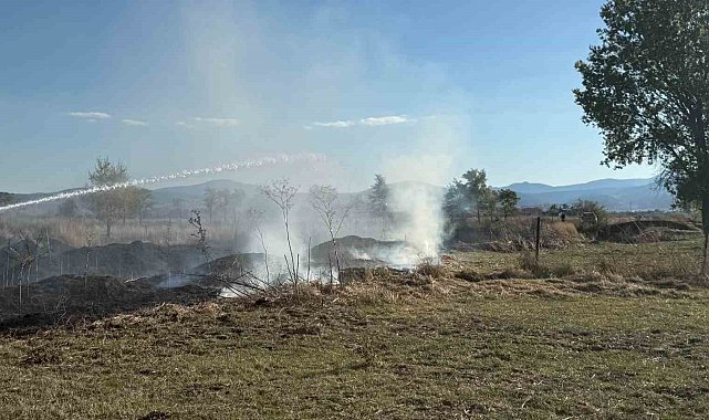 Bolu'da ot yangını büyümeden söndürüldü