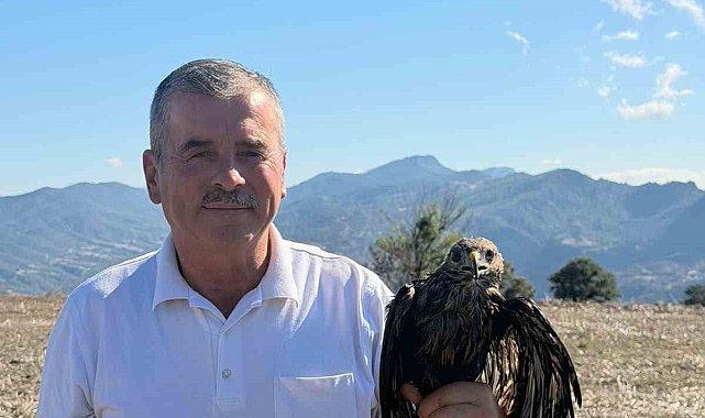 Bolu'da sıcak asfalta yapışan şahin, muhtarın müdahalesiyle kurtarıldı