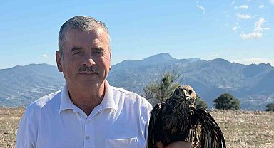 Bolu'da sıcak asfalta yapışan şahin, muhtarın müdahalesiyle kurtarıldı