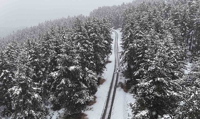 Bolu'nun yüksek kesimlerinde lapa lapa kar: Yaylalar ve Kartalkaya beyaza büründü