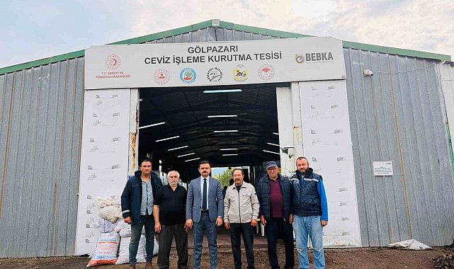 Bu tesiste yılda 400 ton ceviz kurutuluyor