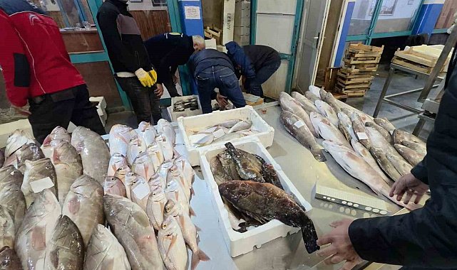 Buca Balık Hali'nde gece denetimi: Yasa dışı avlanan su ürünlerine el konuldu