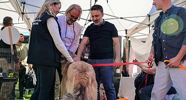 Bursa Büyükşehir'den can dostları için yuva seferberliği