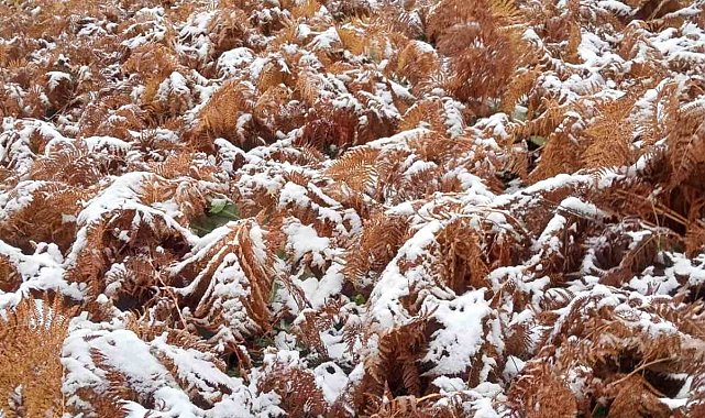 Bursa İnegöl'e mevsimin ilk karı düştü
