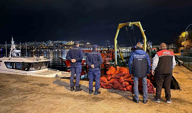 Bursa'da 350 kilo kaçak midye ele geçirildi