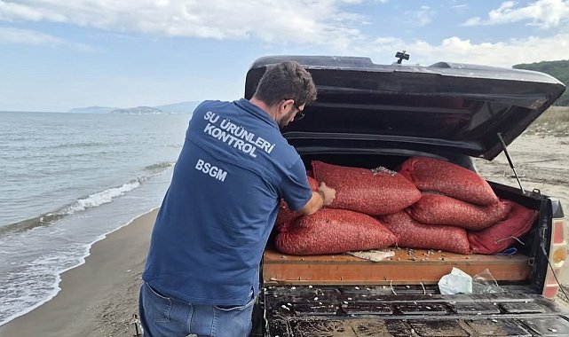 Bursa'da kaçak avcılığa geçit yok: 2 ton 760 kilo kum şırlanı doğaya bırakıldı