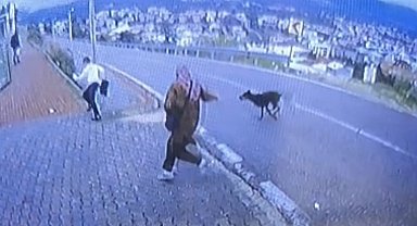 Bursa'da köpek dehşeti kamerada: Çocuk kaçarken bacağını kırdı