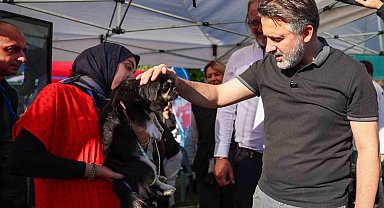 Büyükşehir'den can dostları için yuva seferberliği