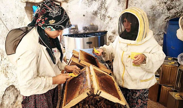 Çam balının başkenti Muğla'da glikozlu bal tepkisi