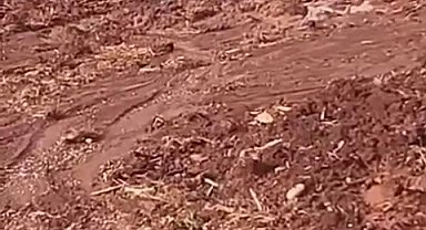 Çamura saplanan eşeği itfaiye ekipleri kurtardı