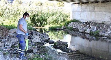 Çanakkale'de ısıran karasinek alarmı