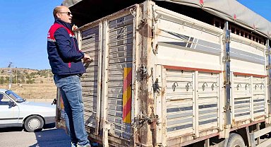 Canlı hayvan nakline yönelik denetimler sürüyor