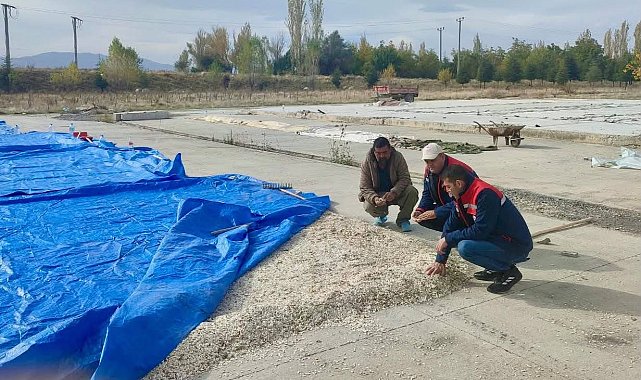 Çay'da kabak çekirdeği ve elma üreticilerine saha ziyareti