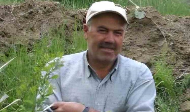 Ceviz ağacından düşerek öldü