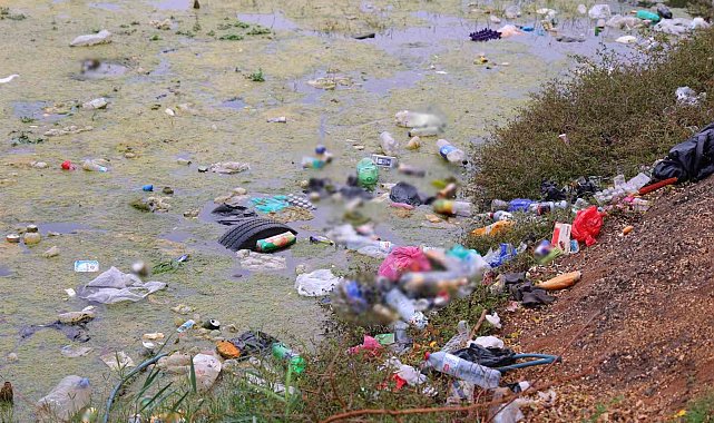 Çevre kirliliği nilüferleri tehdit ediyor