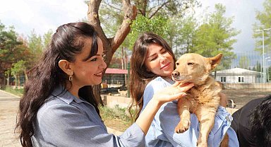 Çilek ve Duman, 8 arkadaşıyla birlikte yeni yuvalarına kavuştu