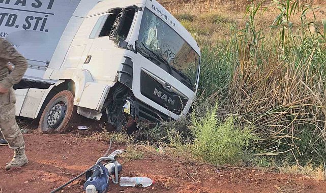 Cilvegözü Sınır Kapısı'nda kontrolden çıkan tır zeytin bahçesine uçtu: 1 yaralı