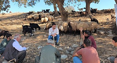 Cudi Dağı eteklerinde çobanlara uygulamalı sürü yönetimi eğitimi