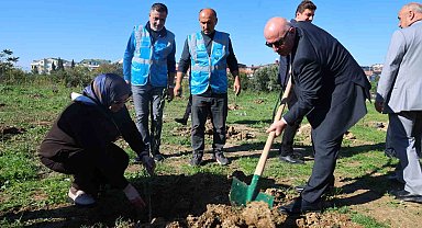 Darıca'da Zeytin Festivali kapsamında 100 fidan dikildi