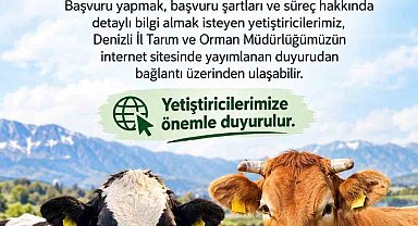 Denizli'de 2027 yılı besilik sığır ithalatı başvuruları başladı