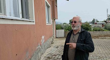Depremin ardından ortaya çıkan salyangozlar mahalleyi ele geçirdi