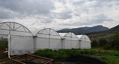 Devletten aldıkları yüzde 50 hibe ile ailelerin kurduğu seralar gelir kaynakları oldu