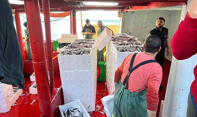 Didim'de 'Hamsi Kotası' denetimi yapıldı