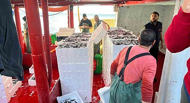 Didim'de 'Hamsi Kotası' denetimi yapıldı