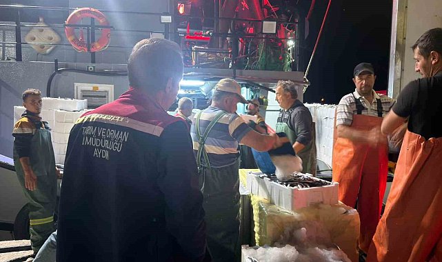 Didim'de 'Hamsi Kotası' denetimi yapıldı