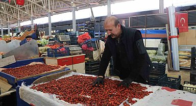 Dikenli dallar arasında zorlu kuşburnu mesaisi
