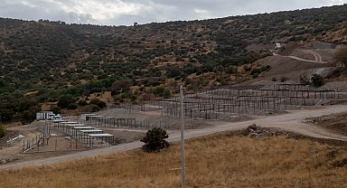 Dikili'ye tam teşekküllü sokak hayvanları kampüsü