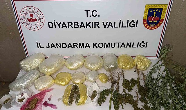 Diyarbakır'da 59 bin kök kenevir ile 109 kilo uyuşturucu ele geçirildi