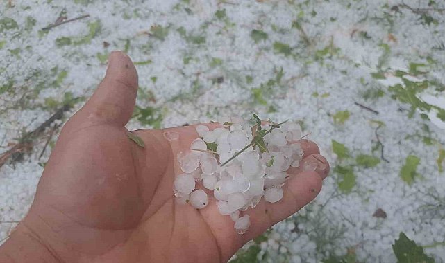 Diyarbakır'da dolu etkili oldu