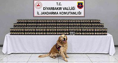 Diyarbakır'da kaçakçılık operasyonlarında 29 şüpheli hakkında işlem yapıldı