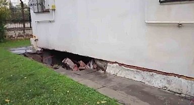 Diyarbakır'da sağanak nedeni ile bir mahalle sular altında kaldı