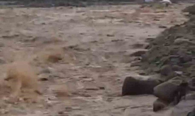 Diyarbakır'da sağanak yağış menfezleri yıktı